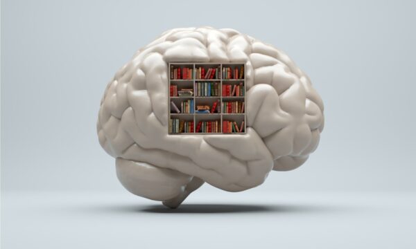 human brain with library inside