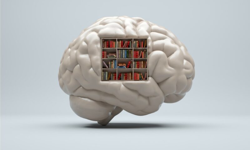 human brain with library inside