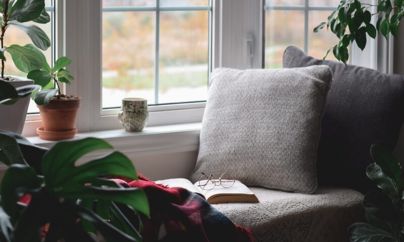 Cozy reading nook surrounded by houseplants with warm throw blanket by a window with no people