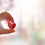 Female hand holding red heart, sunlight, blurred background with copy space. Love, peace, praying, protection, volunteering, healthcare and humanity concept