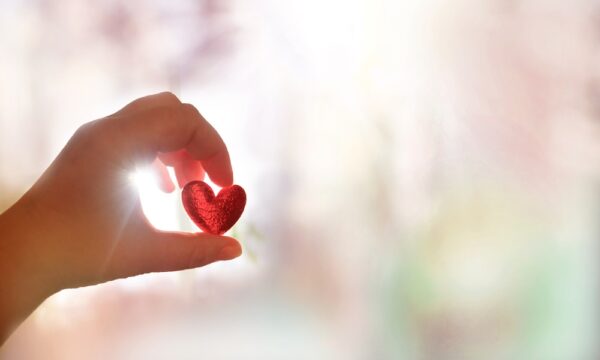 Female hand holding red heart, sunlight, blurred background with copy space. Love, peace, praying, protection, volunteering, healthcare and humanity concept