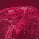 A detailed visualization of global information networks. The dynamic lines and glowing patterns symbolize the flow of data.